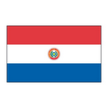 Paraguay Flag Temporary Tattoo (1.5"x2")